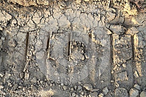 Dry swamp with mud and traces wheel.