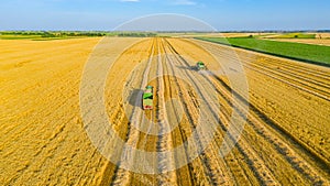 Above view on harvest season at agricultural plot, combine harvesting wheat, tractor drag trailers