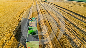 Above view on harvest season at agricultural plot, combine harvesting wheat, tractor drag trailers