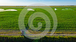 Aerial view on high pressure agricultural water sprinkler, sprayer, sending out jets of water to irrigate corn farm crops