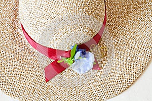 Above view of ladies` wide brim straw hat