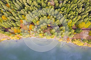 Above view of lake edge and autumn forest