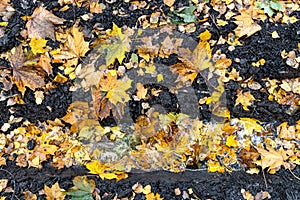 Above view of puddle in deep rut on dirty road