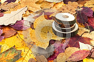 above view of sawed woods on autumn leaves