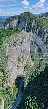 Above view of summer canyon road