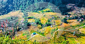 Above view of Tavan village and rice field terraced in valley at Sapa.