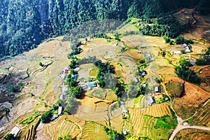 Above view of Tavan village and rice field terraced in valley at Sapa