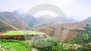above view of terraced gardens on hills