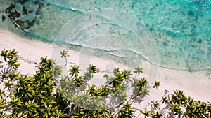 Above white beach. Palm trees and water photo