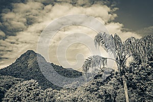 Abraao mountain Pico do Papagaio with clouds Ilha Grande Brazil photo