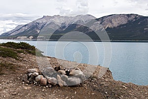 Abraham Lake Fire Pit