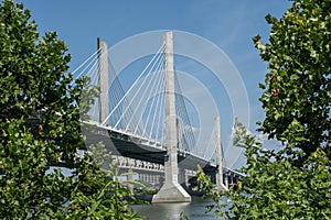 Abraham Lincoln bridge over the Ohio River viewed through trees during the day in Louisville, Kentucky, USA