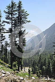 Abridge on Water at Kumrat Valley KP, Pakistan