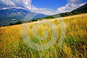 Abruzzo Fields photo