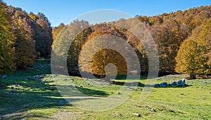 Foliage in autumn season at Forca d`Acero, in the Abruzzo and Molise National Park. Italy. photo