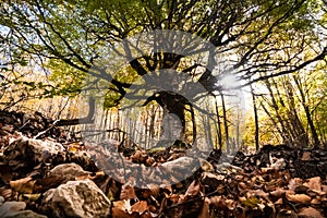 Abruzzo: Prati di Tivo