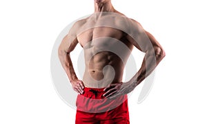 abs and torso. bodybuilder with abs isolated on white. cropped view of bodybuilder with abs