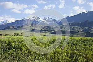 The Absaroka Mountains above a field in western Wyoming on a bright summer morning