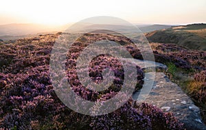 Absolutely beautiful sunset landscape image looking from Higger Tor in Peak District across to Hope Vally in late Summer with