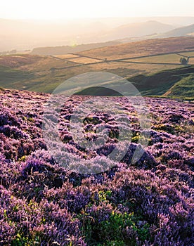 Absolutely beautiful sunset landscape image looking from Higger Tor in Peak District across to Hope Vally in late Summer with