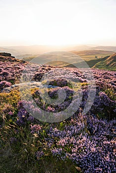 Absolutely beautiful sunset landscape image looking from Higger Tor in Peak District across to Hope Vally in late Summer with