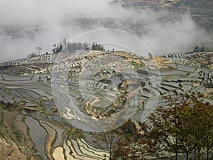 Absolutely breathtakingly beautiful rice terraces in Yuanyang, Yunnan province China