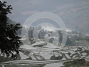 Absolutely breathtakingly beautiful rice terraces in Yuanyang, Yunnan province China