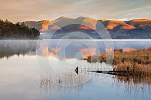 Absolutely stunning vibrant Autumn sunrise landscape image looking from Manesty Park in Lake Distict towards sunlit Skiddaw Range