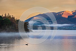 Absolutely stunning vibrant Autumn sunrise landscape image looking from Manesty Park in Lake Distict towards sunlit Skiddaw Range