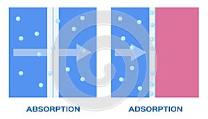 Absorption and adsorption vector icon photo