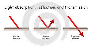Absorption, Reflection, and Transmission of waves. visible light