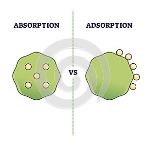 Absorption vs adsorption differences on molecular surface outline diagram