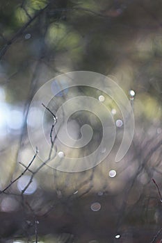 Abstaction from branches in raindrops