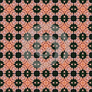 abstrack technich from flower