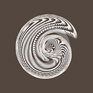 Vector abstrackt spiral background photo