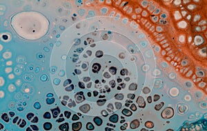 Abstract Acrylic Pour Painting With Cells, White Copper Blue Turquoise