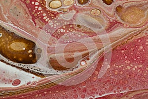 Abstract Acrylic Pour Painting With Cells, White Pink Red Brown