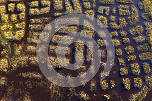 Abstract aerial landscape of a lake