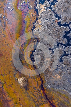 Abstract aerial landscape of a lake