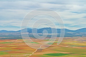Abstract aerial panoramic top view of a country farm agricultural landscape, a road and colorful geometric shapes