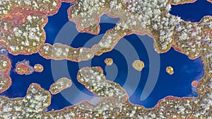 Abstract aerial top-down bog lake pattern