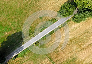 Abstract aerial view, vertical view of a path crossing the picture diagonally, with two large trees at the end of the path