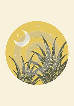 Abstract aesthetic desert night with agave cactus illustration.