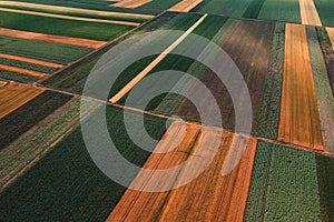 Abstract agricultural background