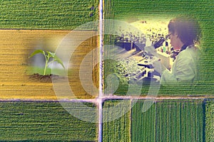 Abstract agricultural collage