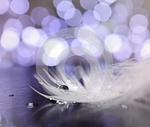 Abstract air background with bokeh, feather and drops of water in shades of lilac