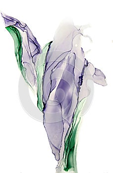 Abstract alcohol ink art drawing irises