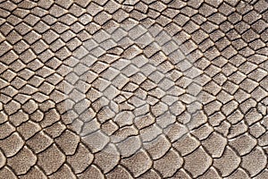 Abstract alligator patterned background. Texture of genuine leather close-up, embossed under the skin a reptile
