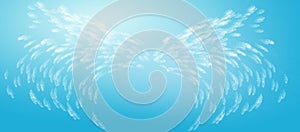 Abstract Angel Wings in Blue Sky