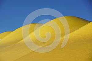 Abstract architectural detail . modern architecture, yellow panels on building facade.